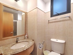 Tanglin View (D3), Condominium #473751391